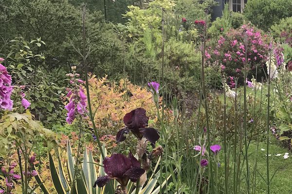 Garden Landscape Design | Garden Consultation | Garden Lessons Leicester