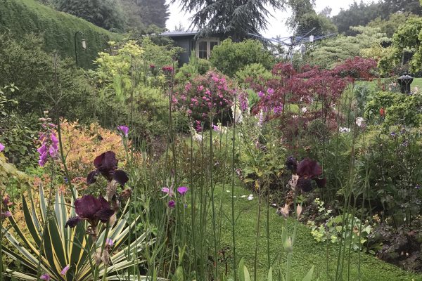 Garden Landscape Design | Garden Consultation | Garden Lessons Leicester