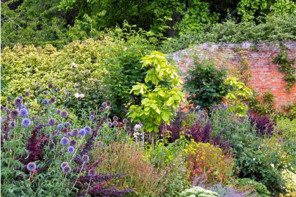 Choosing the Right Plants for Your Garden: Expert Advice